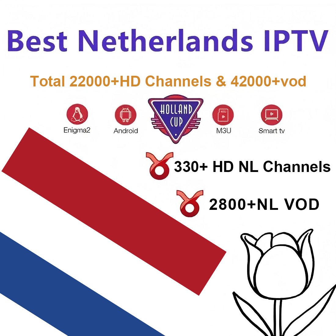 Smart TV Entertainment System 1 Months
